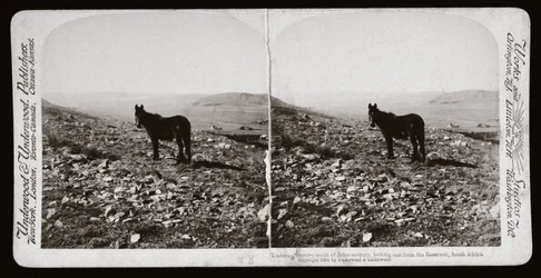 Boer War (South Africa)