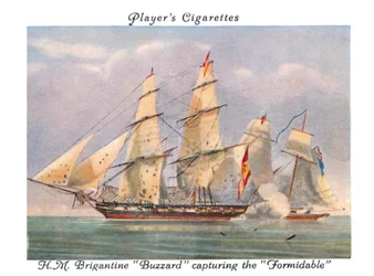 H.M. Brigantine Buzzard Capturing the Formidable