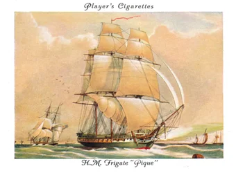 H.M. Frigate Pique