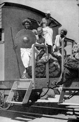 Hadendoan people, East Africa