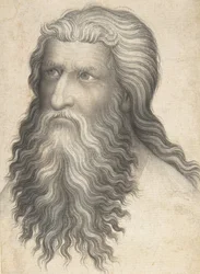 Head of a Bearded Man