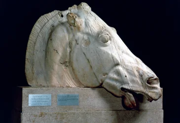 Head of a Horse from the Chariot of Selene from the East Pediment of the Parthenon