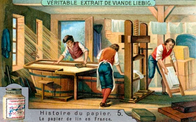 History of Paper: 5
