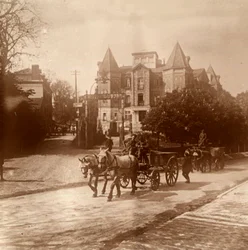 Horse-Drawn Ambulance, Belgium, c1914-c1918
