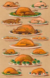 Household Management - Plate VI