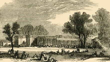Houses of the Carnivora