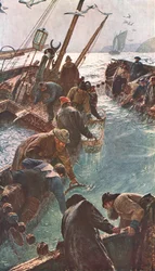 How We Caught the Pilchards