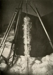 Ice Crystals Formed on the Line of a Fish Trap