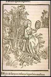 Illustration to the book Ship of Fools by Sebastian Brant, 1497