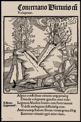 Illustration to the Book Ship of Fools by Sebastian Brant, 1497
