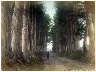 Imaichi Road at Nikko, Japan