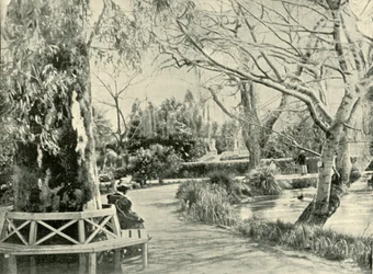 In the Botanic Gardens, Adelaide