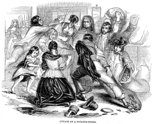 Irish Potato Famine