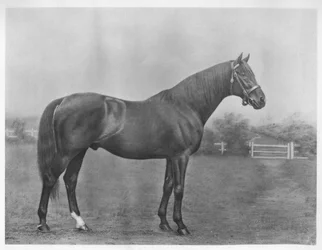Isinglass bay, 1890-1911, 1911