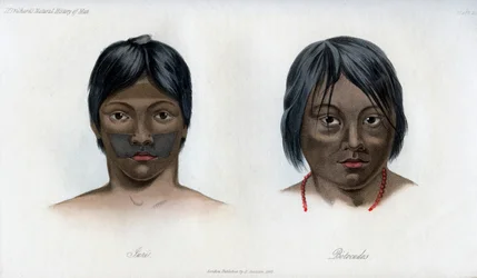 Juri and Botocudos, of the Brasilio-Guarani nation, 1848
