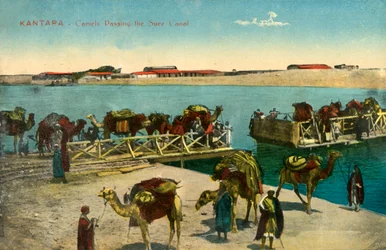 Kantara - Camels Passing the Suez Canal, c1918-c1939