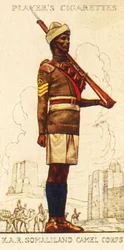 Kings African Rifles: Somaliland Camel Corps, 1936