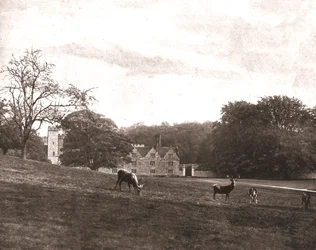 Knole Park, Sevenoaks, Kent, 1894