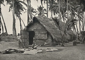 Coconut Palms and Native Hut Made of Coconut Leaves