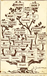 The Tree of Alcohol