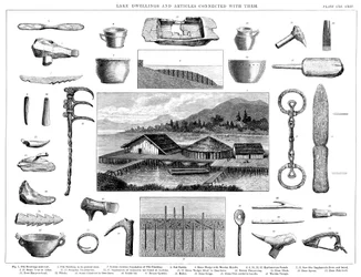 Lake Dwellings and Associated Artefacts from Lake Zurich, Switzerland, 1888