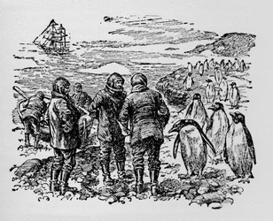 Landed on a Small Island Inhabited by Myriads of Penguins