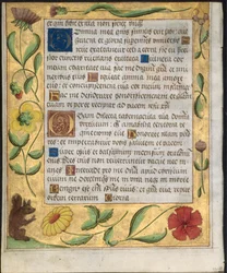 Leaf from a Psalter and Prayerbook: Ornamental Border with Flowers and Squirrel verso