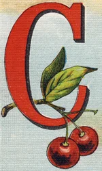 Letter C: Cherries