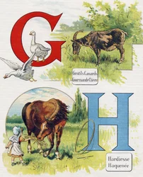 Letter G and H: Good ducks, greedy goat, boldness and Haquenee. Engraving in "ABC L