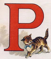 Letter P: Little Cat