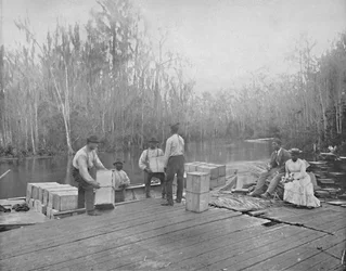 Loading Oranges on the Ocklawaha River, Florida, c. 1897