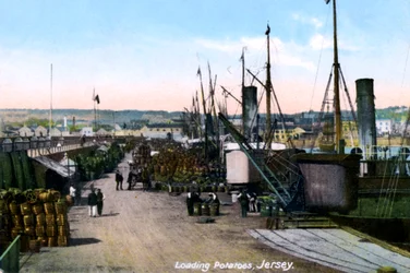 Loading Potatoes, Jersey, 1908