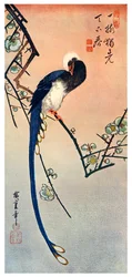 Long Tailed Blue Bird on Branch of Plum Tree in Blossom, 19th Century