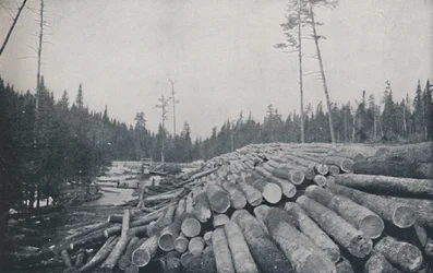 Lumbering