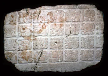 Mayan Hieroglyphs on Part of a Door Lintel