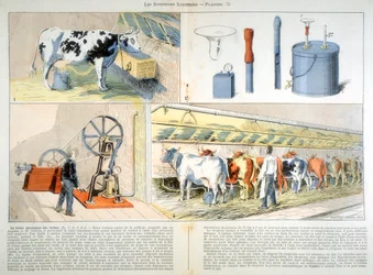 Milking Parlour Equipped with Thistle Suction and Pulsation Milking Machine