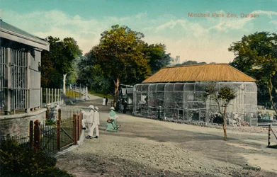 Mitchell Park Zoo, Durban, c1915