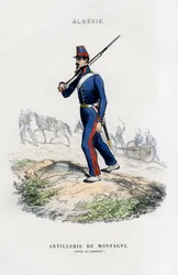 Mountain artillery, French Army in Algeria