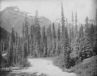 Mounts Cheops and Hermit, Selkirk Range of the Rockies