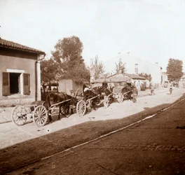 Mule Wagons with Supplies, Verdun, Northern France