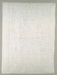 Napkin