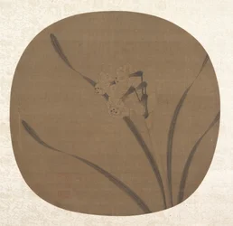 Narcissus