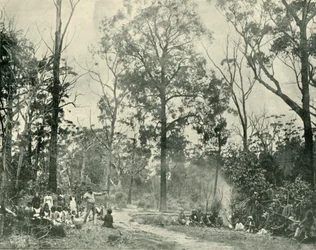Native Sports, Lake Tyers