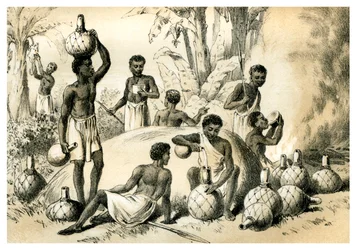 Natives Making Pombe