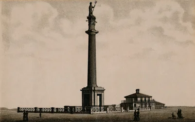 Nelson