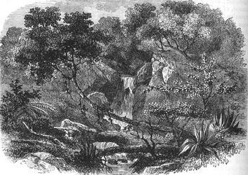 New Zealand Landscape