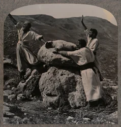 Offering sacrifice of lamb on Altar, Moreh