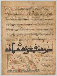 On the Benefits of Quails verso from a Manafi al-Hayawan, c. 1300