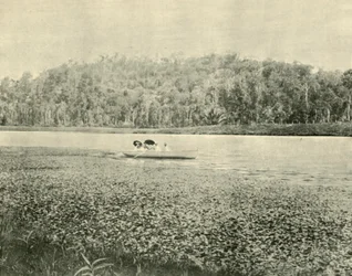 On the Enoggera Lake
