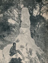 One of the Giant Ant Heaps peculiar to some districts of South Africa